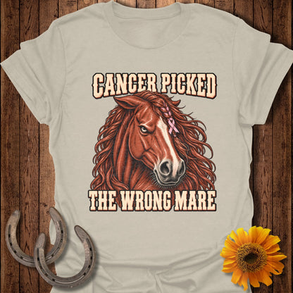 Horse with pink ribbon and text "Cancer picked the wrong mare".