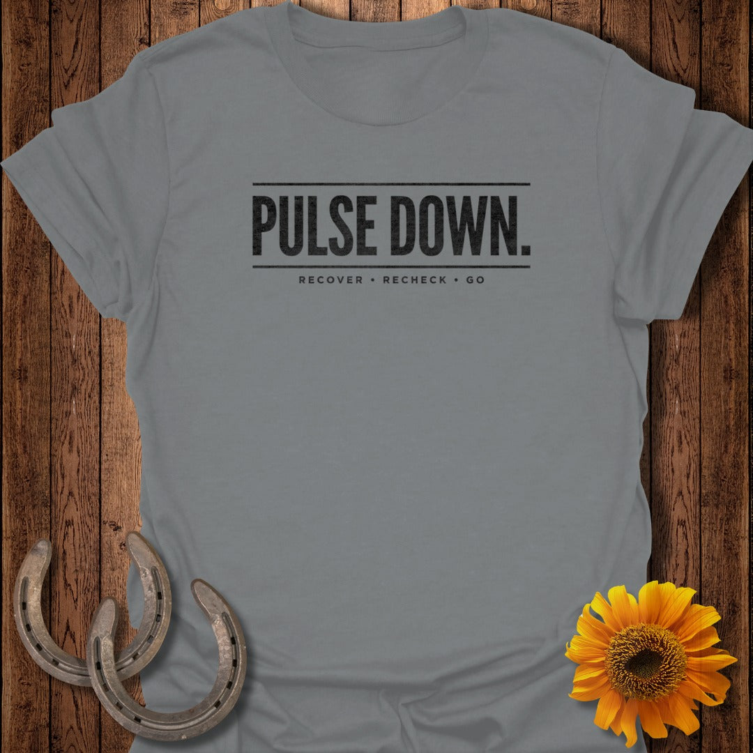 Pulse Down Recover Recheck Go Graphic T-Shirt