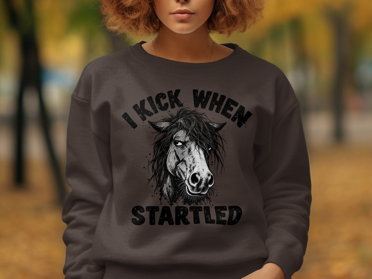 Dark brown sweatshirt with a black ink drawing of a startled horse and text.