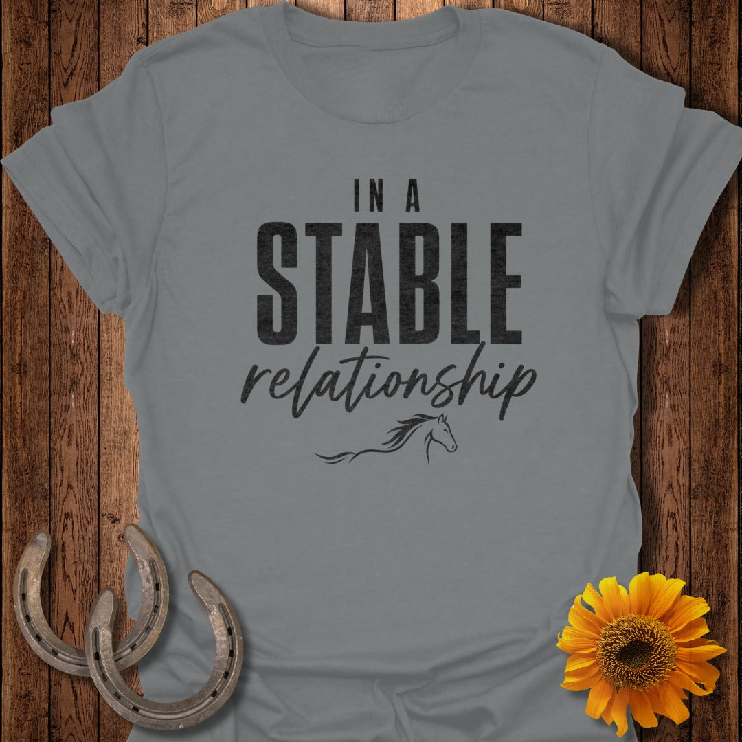 Grey t-shirt with "In a stable relationship" and horse graphic.