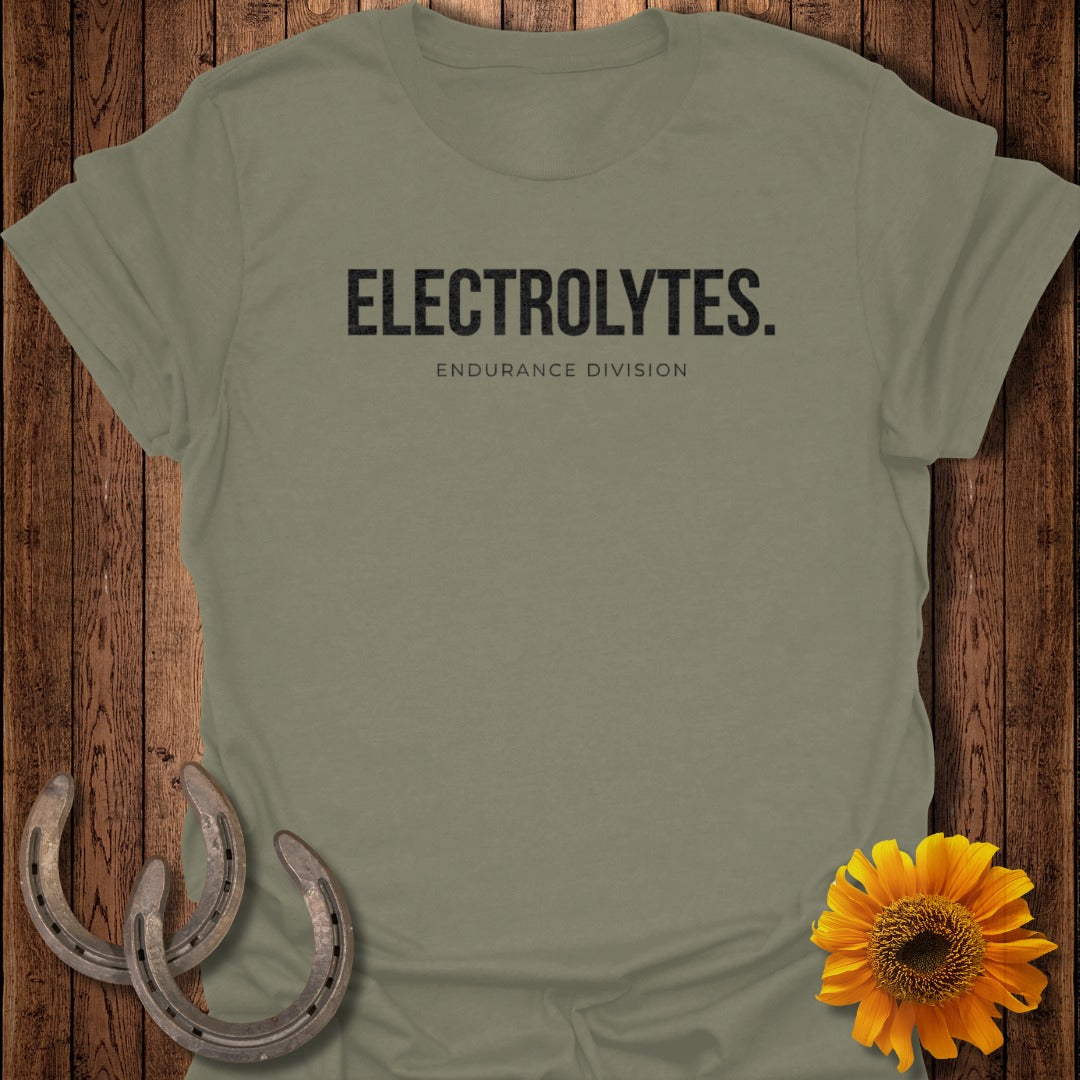 Electrolytes Endurance Division T-Shirt Product