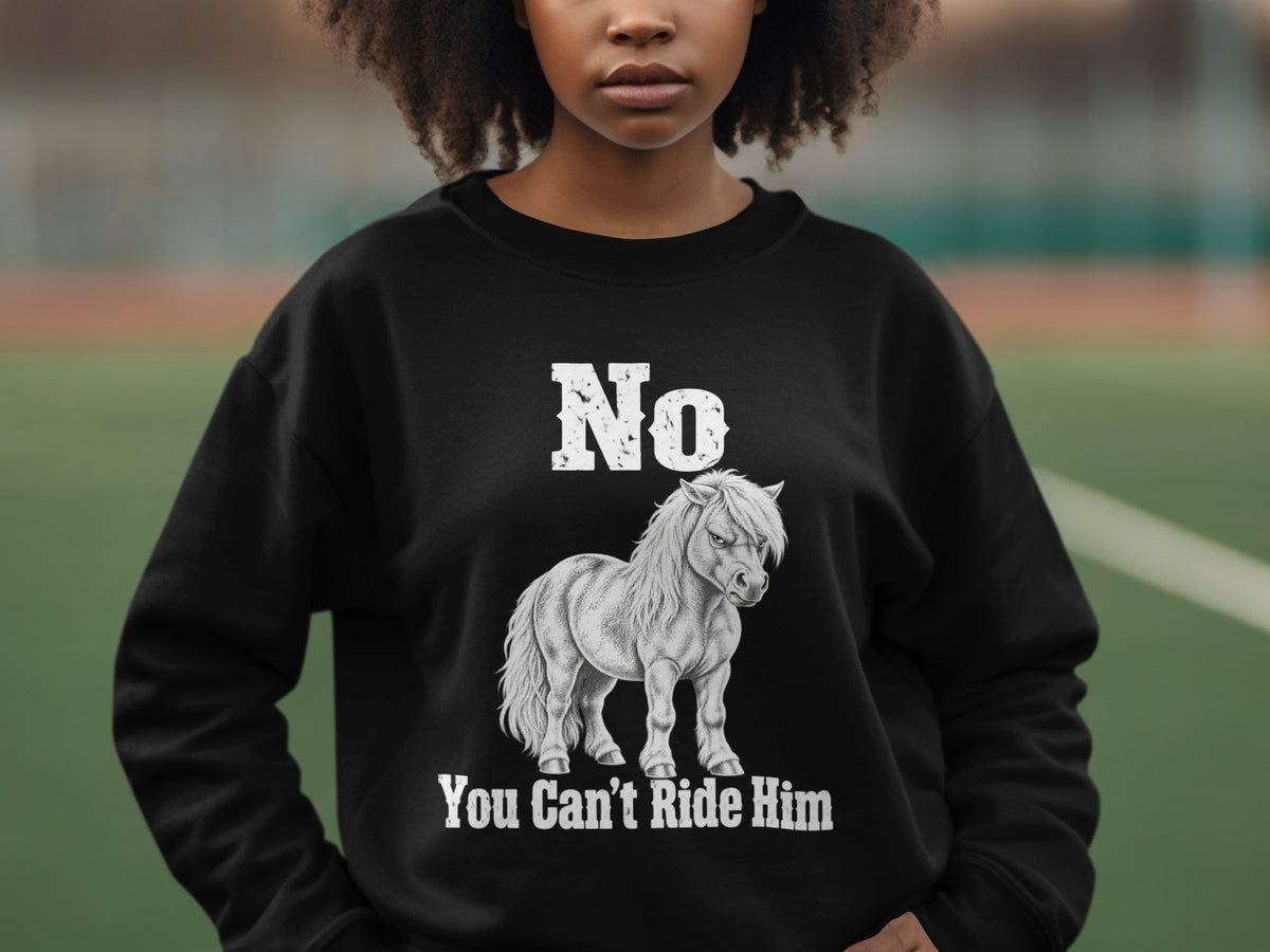 A person wears a black crewneck sweatshirt printed with a grump pony graphic and text reading No You Can't Ride Him.