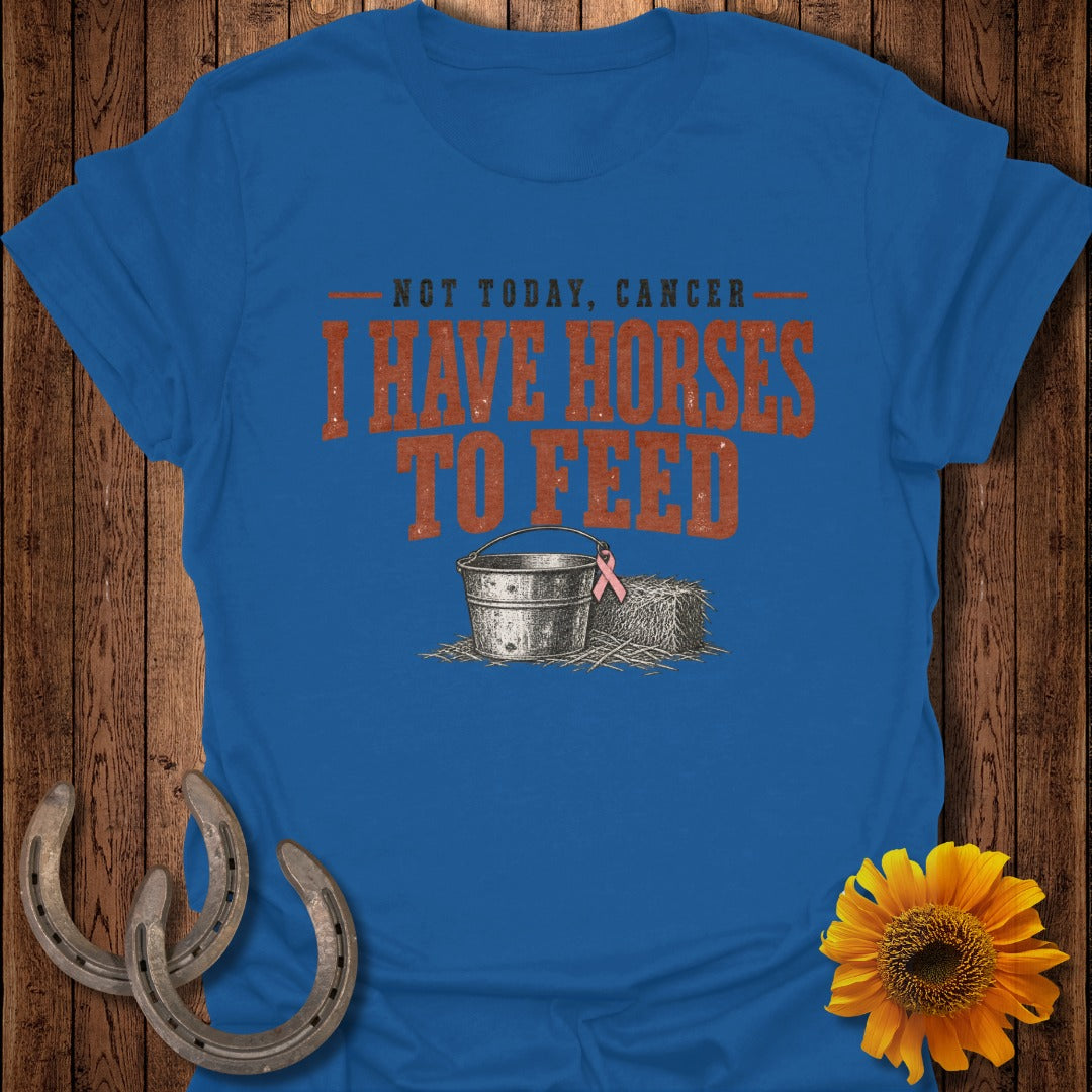 Blue t-shirt with "Not Today, Cancer. I Have Horses to Feed" text, bucket, and hay bale.
