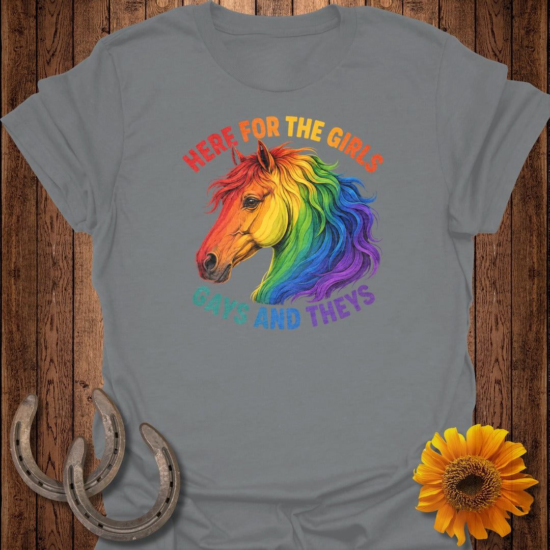 Grey t-shirt with rainbow horse head and text "here for the girls, gays and theys".