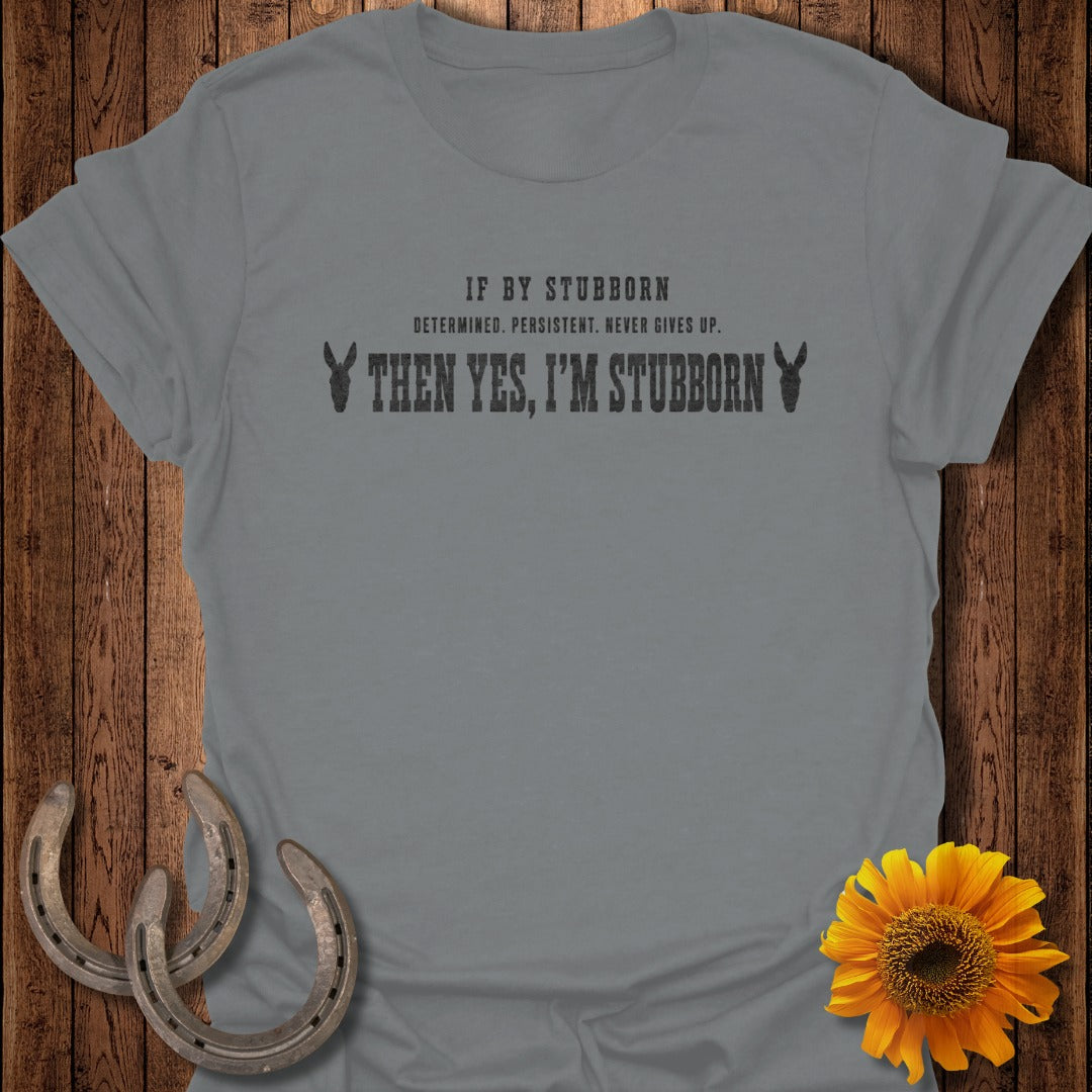 Grey t-shirt with text "IF BY STUBBORN DETERMINED. PERSISTENT. NEVER GIVES UP. THEN YES, I'M STUBBORN"