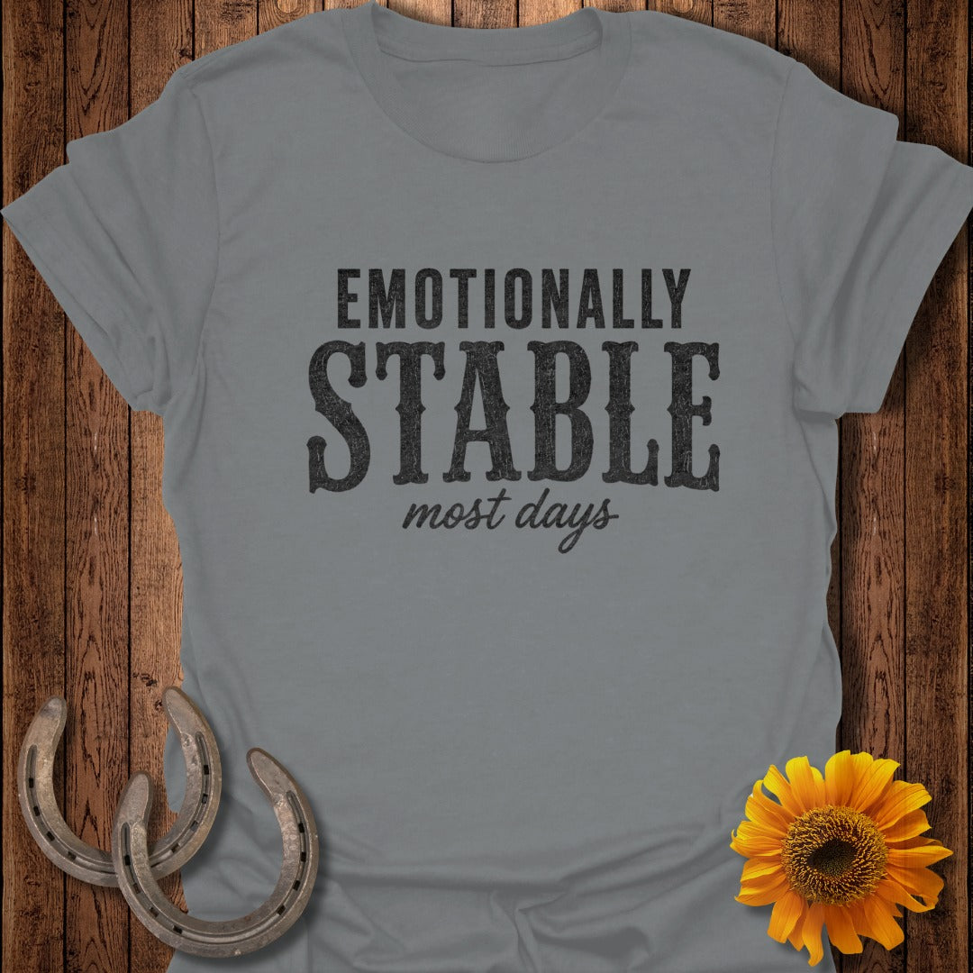 Grey t-shirt with "EMOTIONALLY STABLE most days" text.