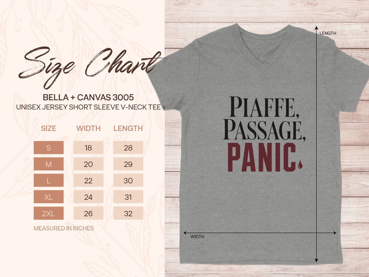 Bella + Canvas 3005 unisex v-neck tee size chart with measurements.