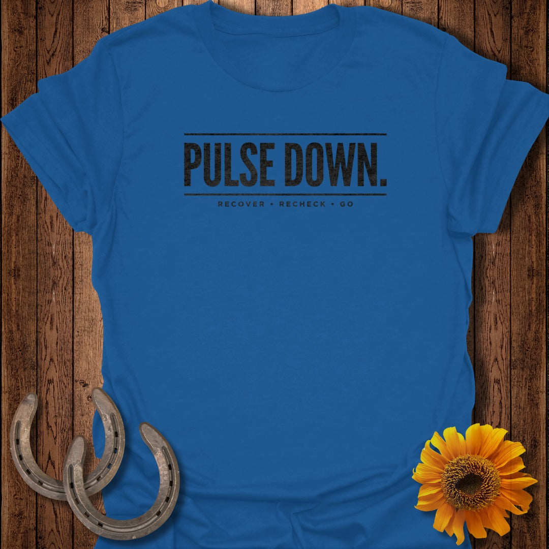 Pulse Down Recover Recheck Go Graphic Tee Product