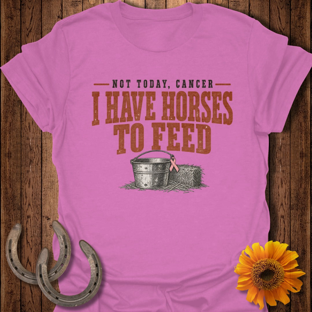 Pink t-shirt with "NOT TODAY, CANCER - I HAVE HORSES TO FEED" text, bucket, and hay bale.