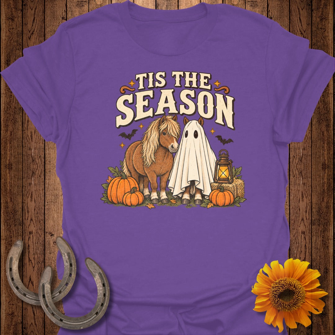 Purple shirt with two ponies, one in a ghost costume, and Halloween pumpkins.