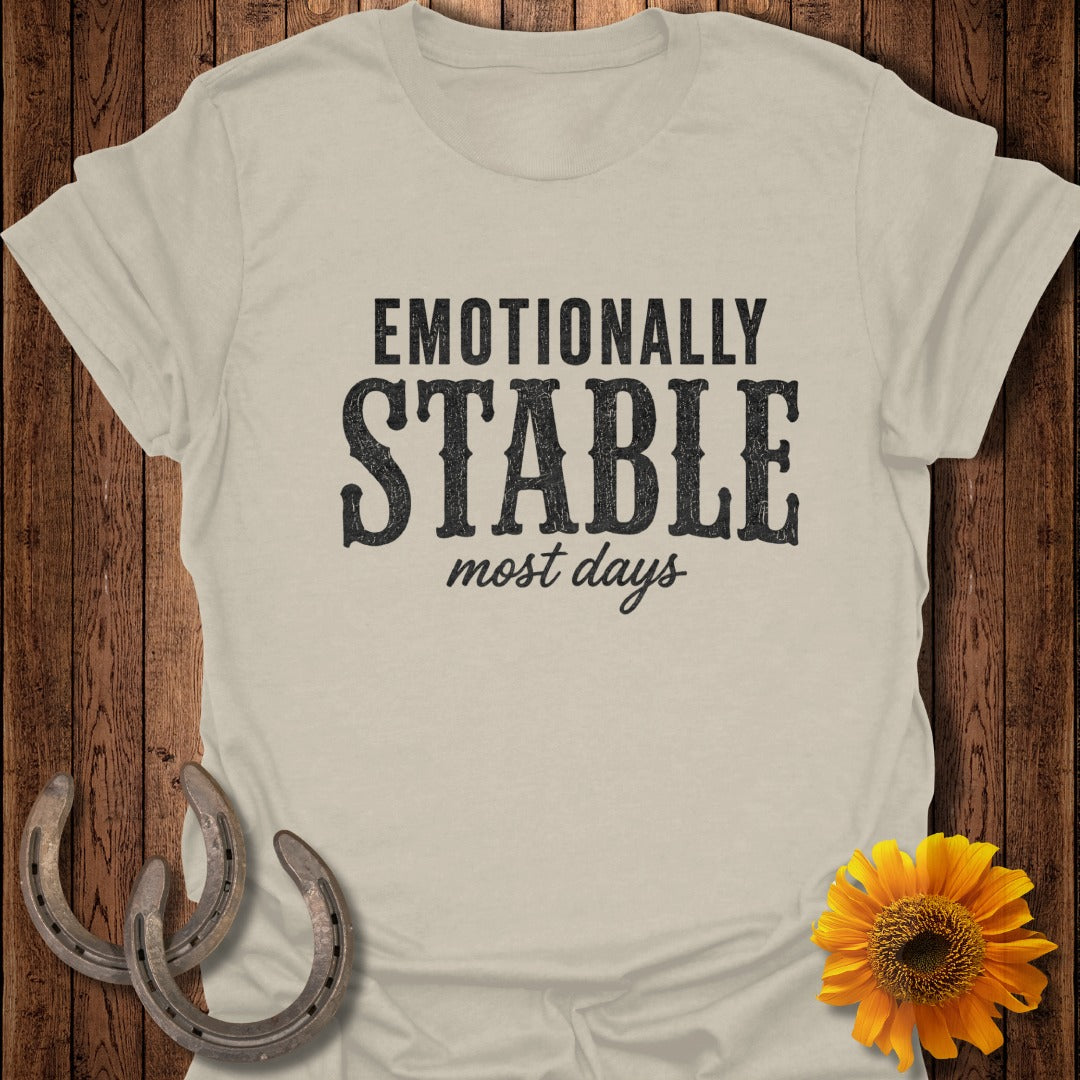 T-shirt with "EMOTIONALLY STABLE most days" text and horseshoes.