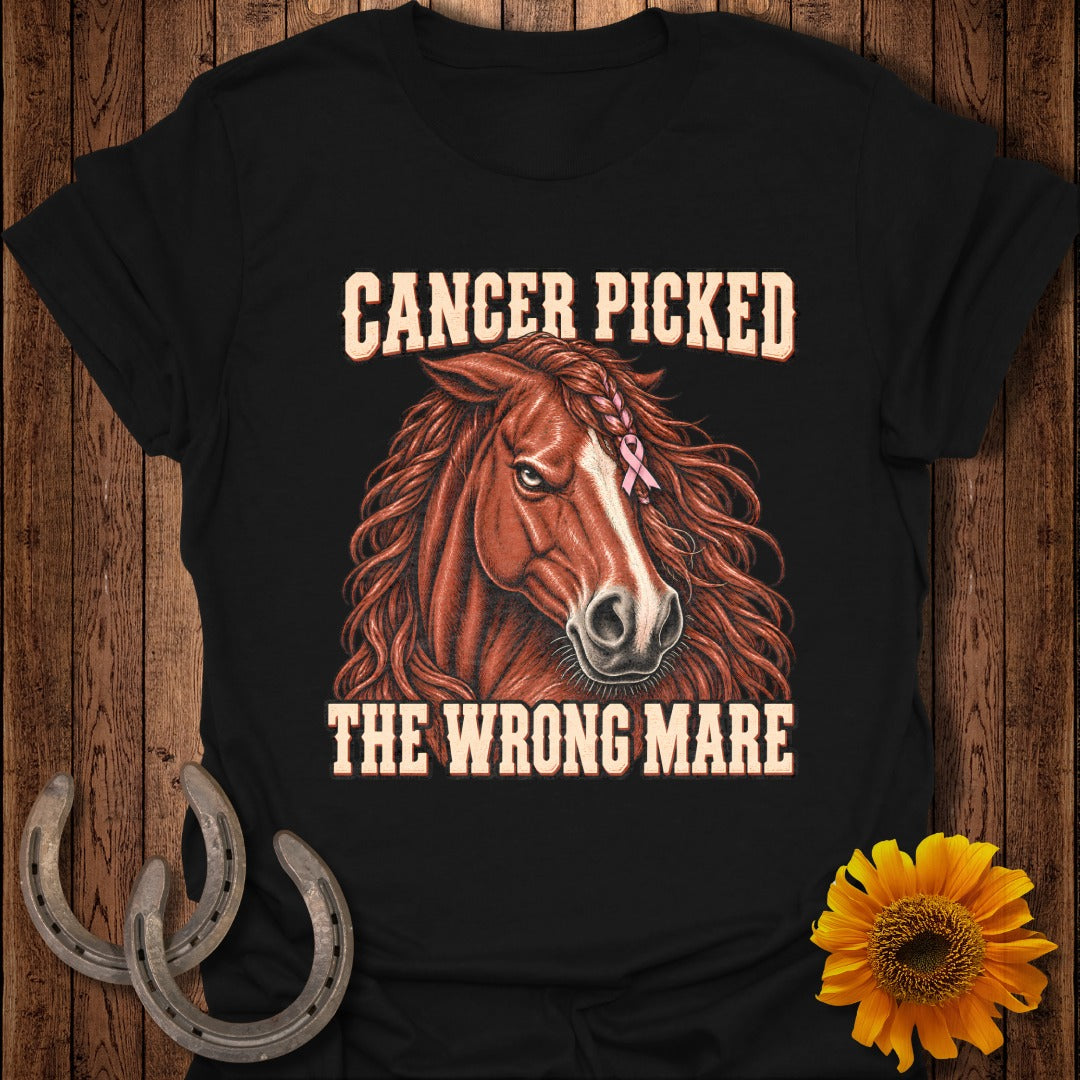 Black t-shirt with a brown horse graphic and text that reads "Cancer picked the wrong mare".