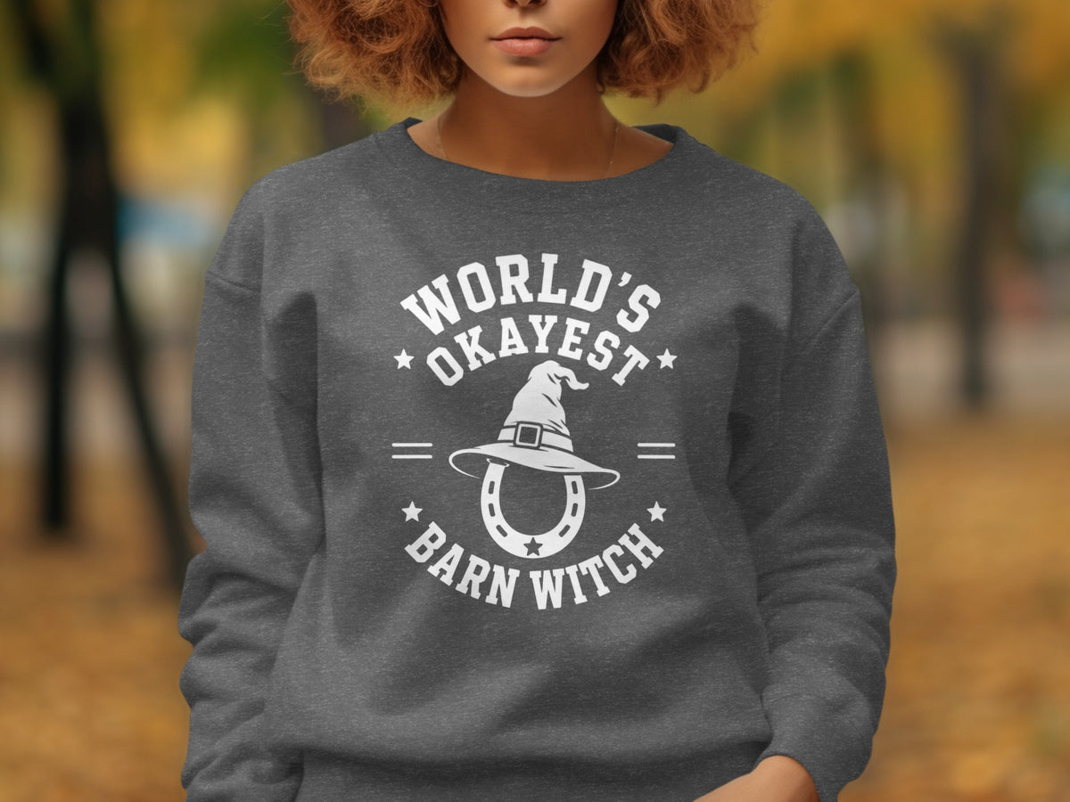 Dark grey sweatshirt with white text and graphics: "World's Okayest Barn Witch"