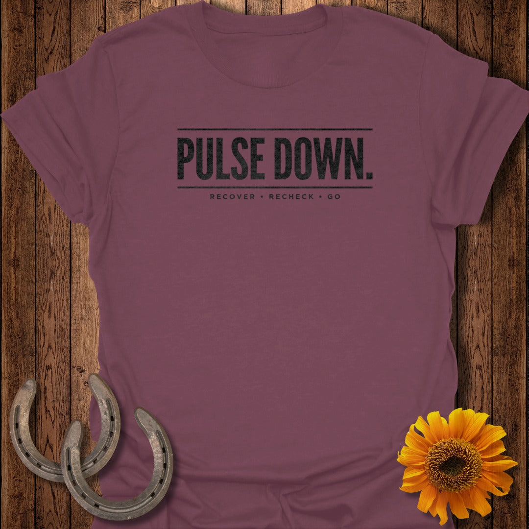 Pulse Down Recover Recheck Go Graphic Tee Shirt
