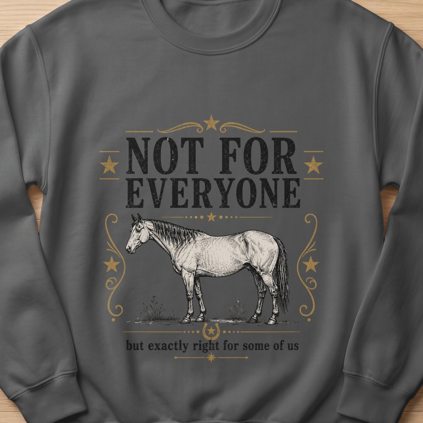 Dark grey sweatshirt with a sketch of a horse and text "NOT FOR EVERYONE but exactly right for some of us".