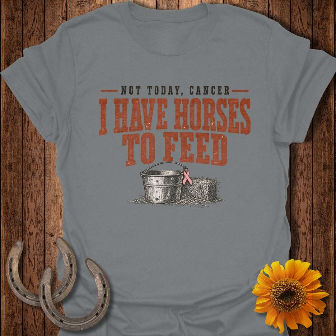 Gray t-shirt with text "Not Today, Cancer I Have Horses to Feed" and a bucket with a pink ribbon.