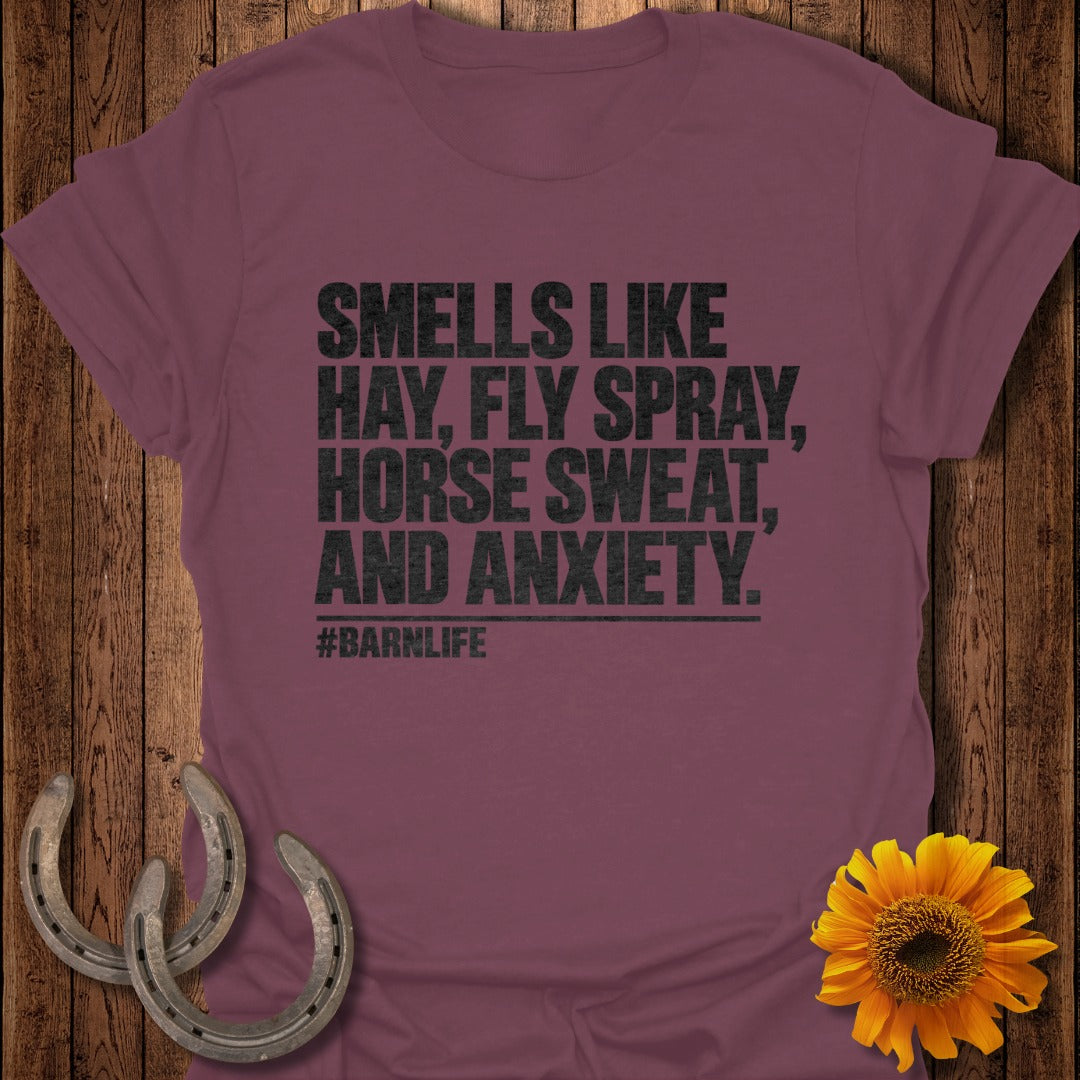 Maroon t-shirt with black text reading SMELLS LIKE HAY, FLY SPRAY, HORSE SWEAT, AND ANXIETY #BARNLIFE.