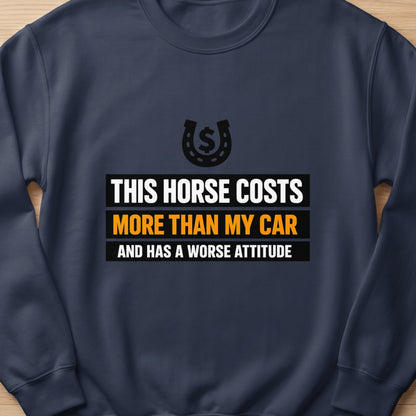 Dark blue sweatshirt with "This horse costs more than my car and has a worse attitude" text.