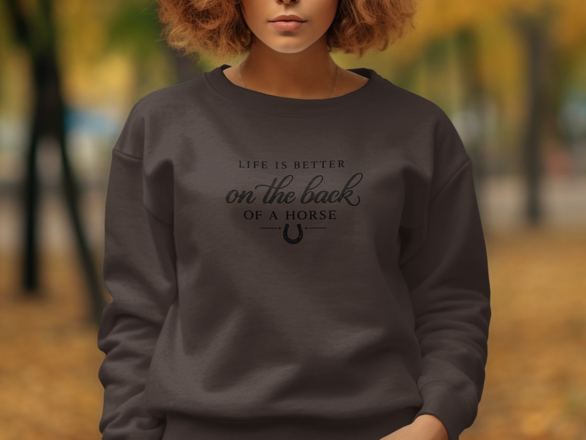 Dark grey sweatshirt with "Life is better on the back of a horse" text and horseshoe.