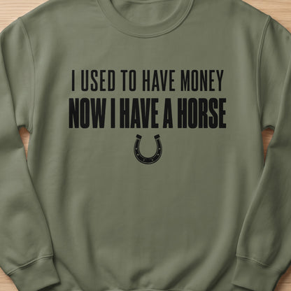 Green sweatshirt with black text "I USED TO HAVE MONEY NOW I HAVE A HORSE" and horseshoe.