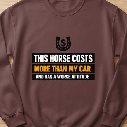 Brown sweatshirt with text "This horse costs more than my car and has a worse attitude".