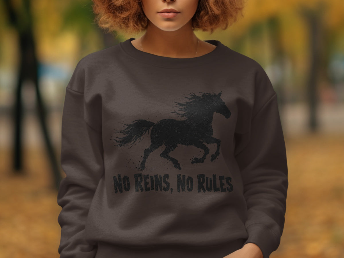 Dark brown sweatshirt with black horse graphic and "No Reins, No Rules" text.
