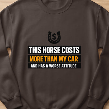 Brown sweatshirt with text: "THIS HORSE COSTS MORE THAN MY CAR AND HAS A WORSE ATTITUDE"