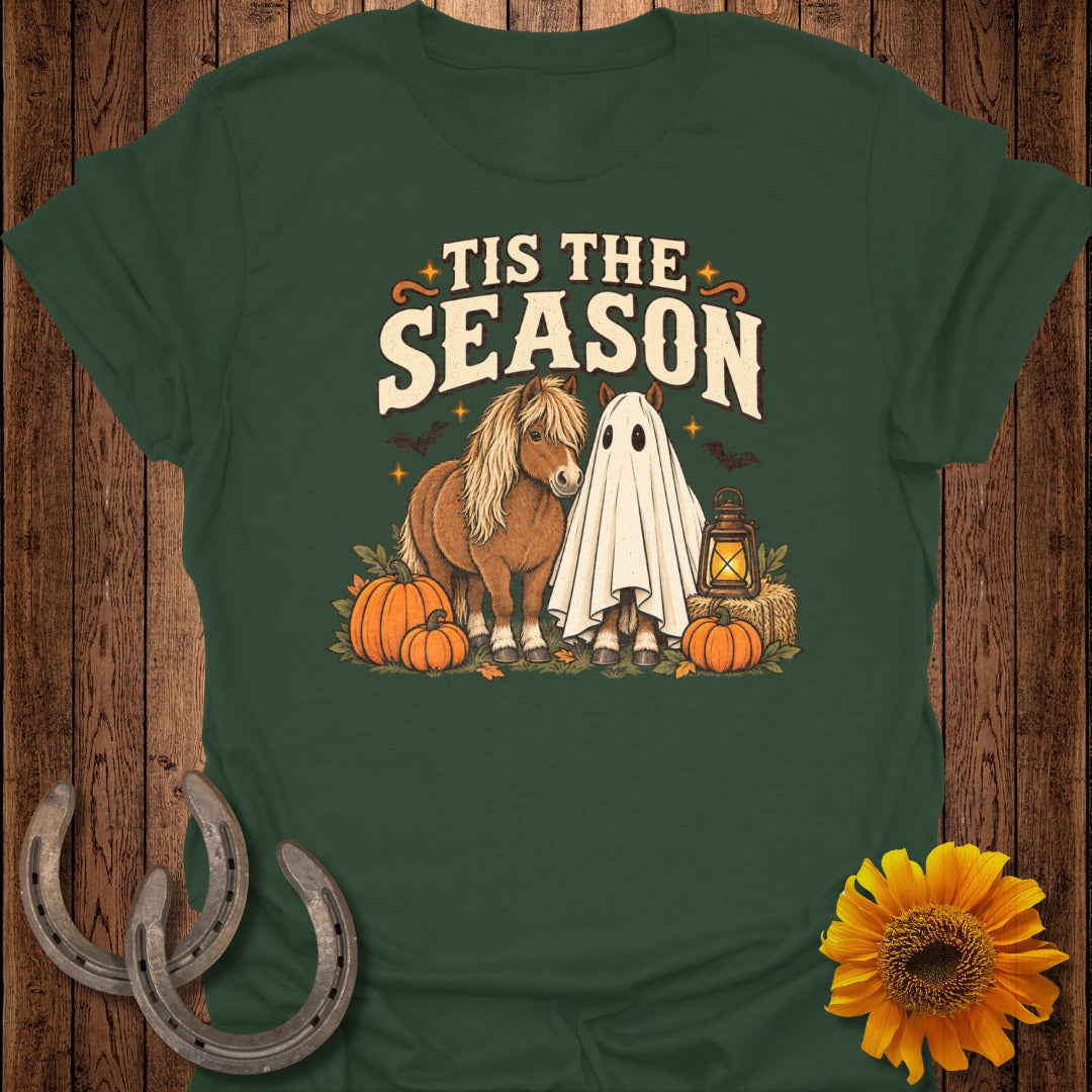 Two horses, one in a ghost costume, with pumpkins and a lantern.