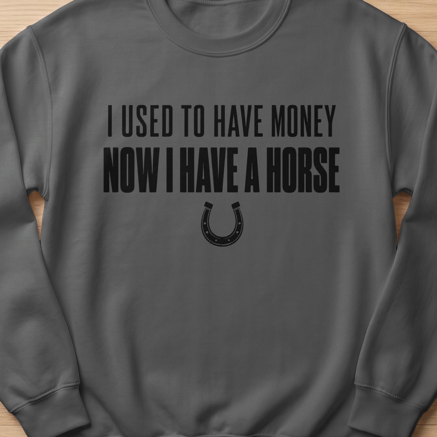 Dark gray sweatshirt with black text "I USED TO HAVE MONEY NOW I HAVE A HORSE" and horseshoe.