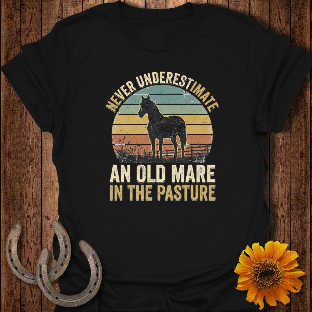 Black t-shirt with a vintage design of a horse in a pasture with text.