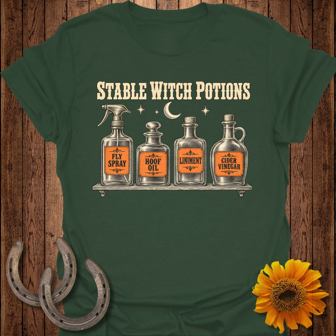 Stable Witch Potions graphic with four potion bottles on a shelf.