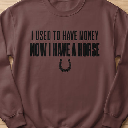 Brown sweatshirt with black text "I Used to Have Money Now I Have a Horse" and a horseshoe.