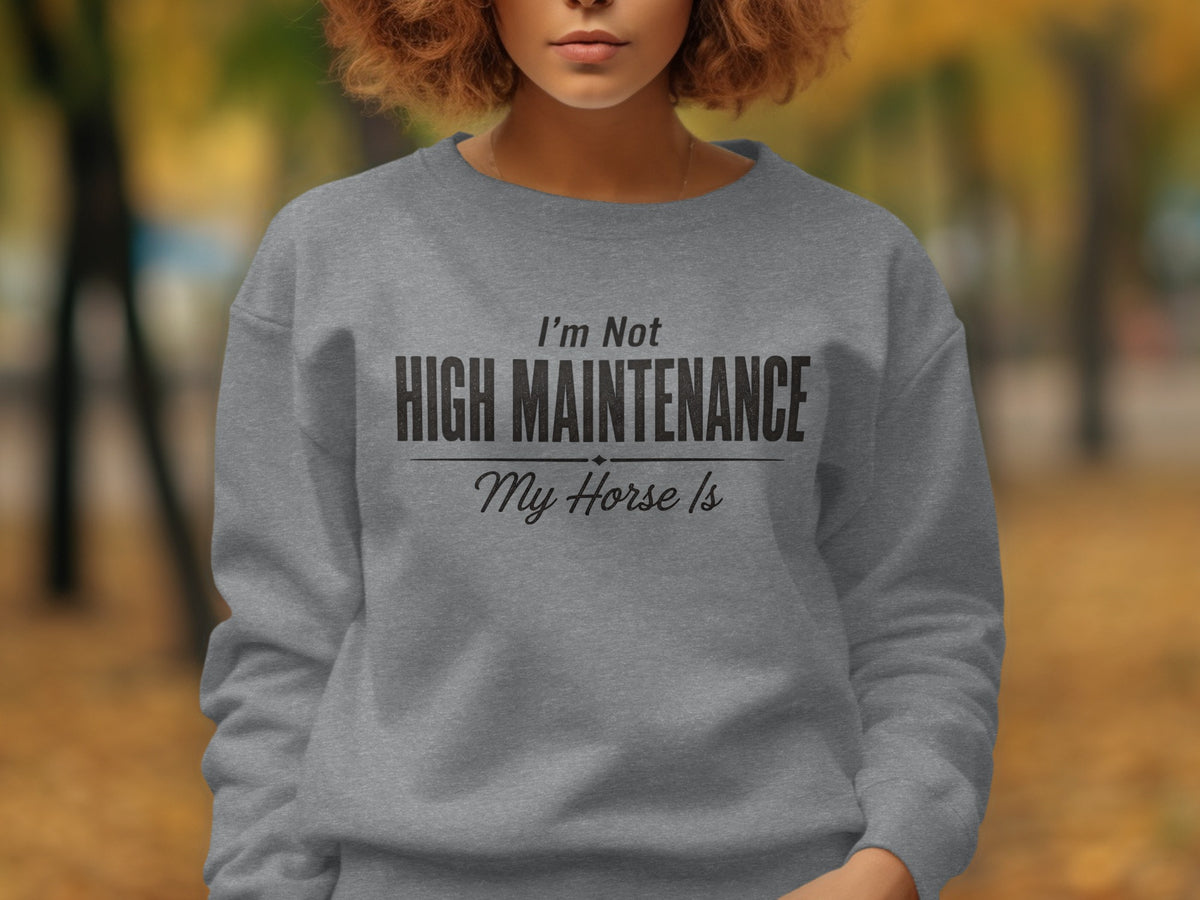 Grey sweatshirt with "I'm Not HIGH MAINTENANCE My Horse Is" text.