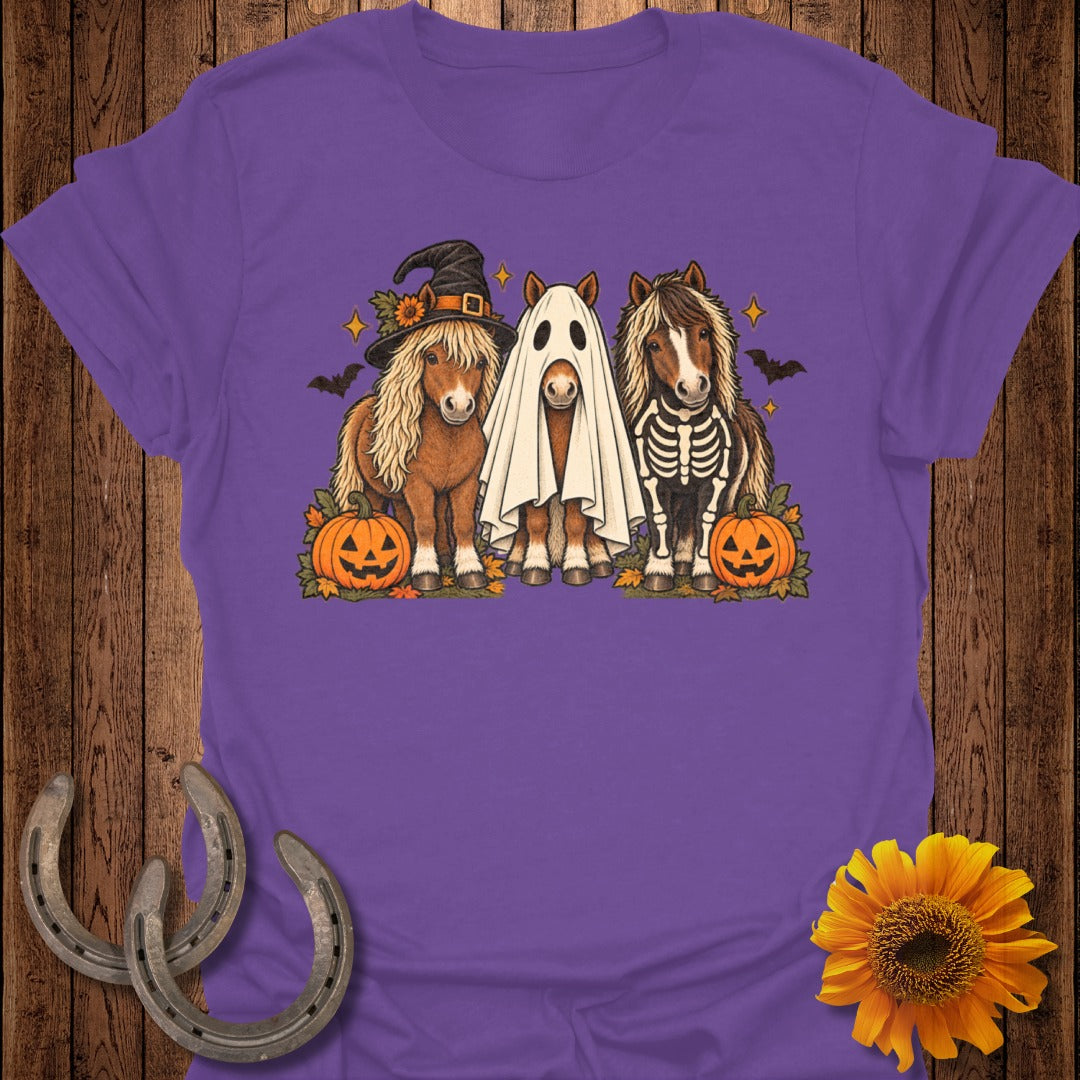 Three ponies dressed for Halloween, one as a witch, one as a ghost, one as a skeleton.