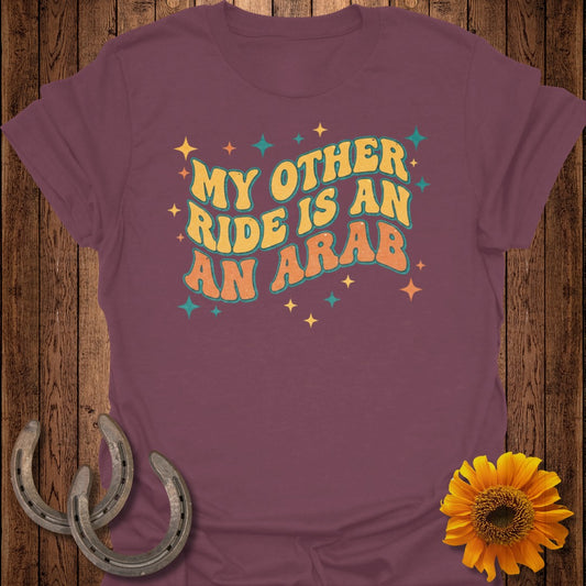 My Other Ride Is An Arab Funny Horse Lover Shirt