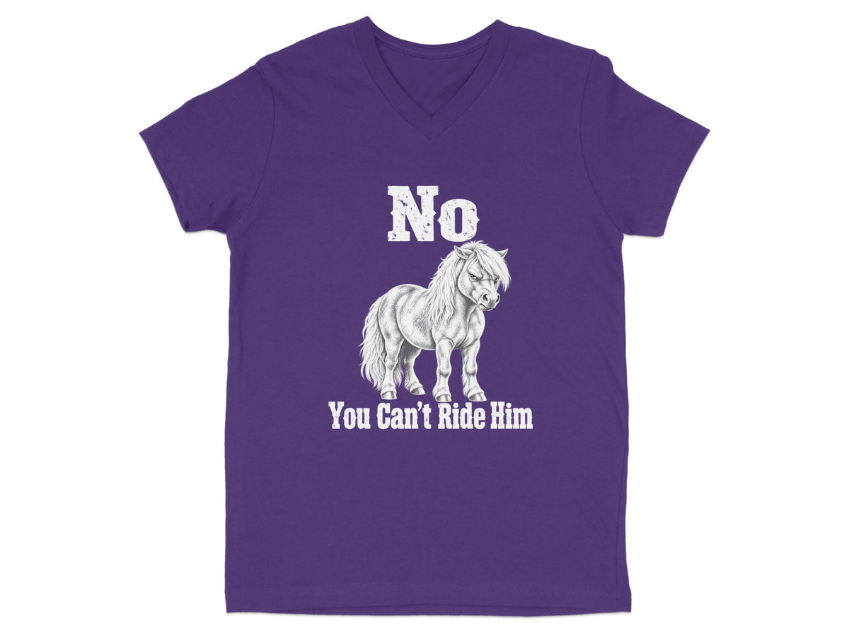 A purple V-neck t-shirt featuring a white graphic of a grumpy pony and the text No You Cant Ride Him.