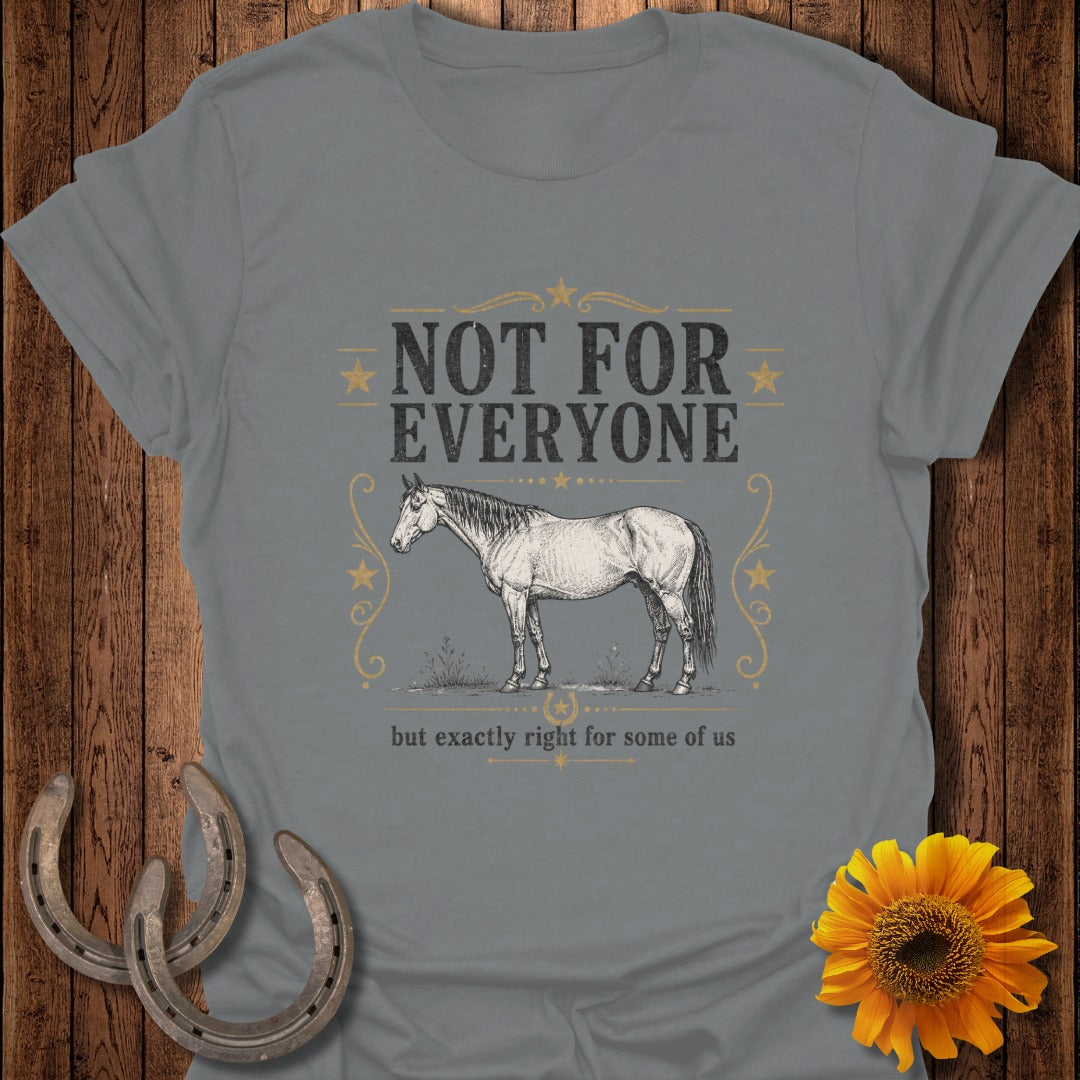 Grey t-shirt with a horse graphic and text "NOT FOR EVERYONE but exactly right for some of us."