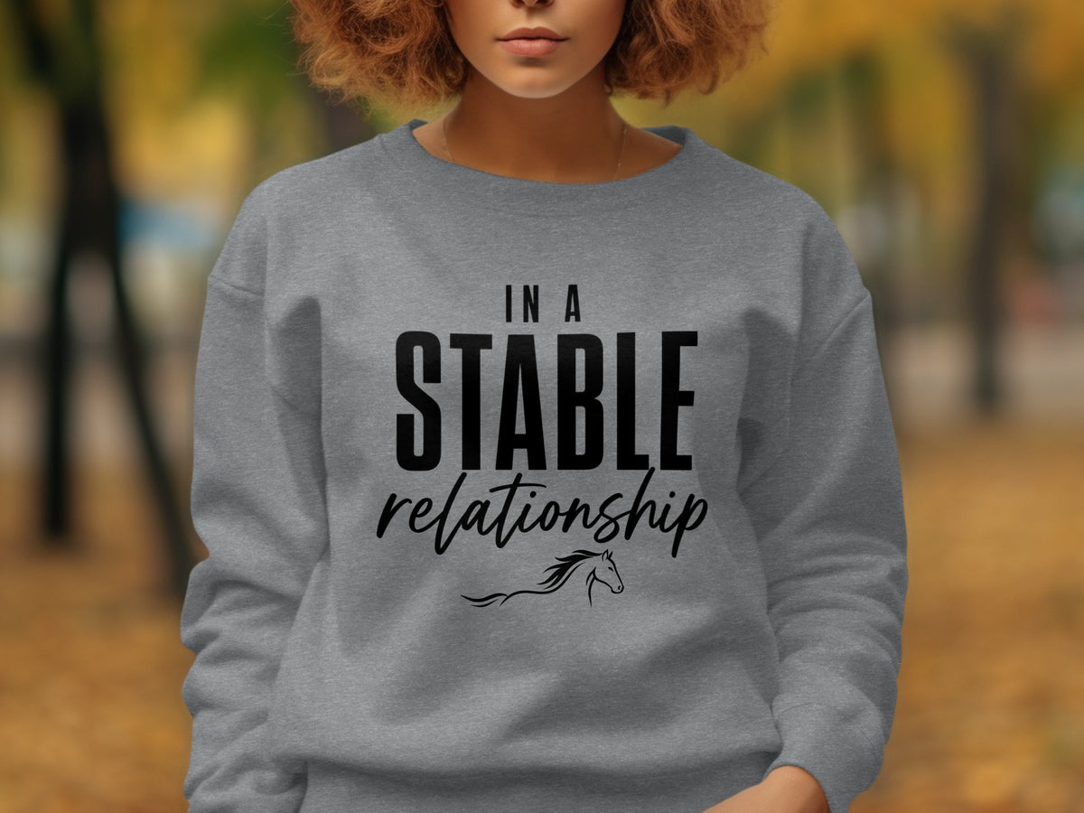 Grey sweatshirt with "In a stable relationship" text and horse graphic.