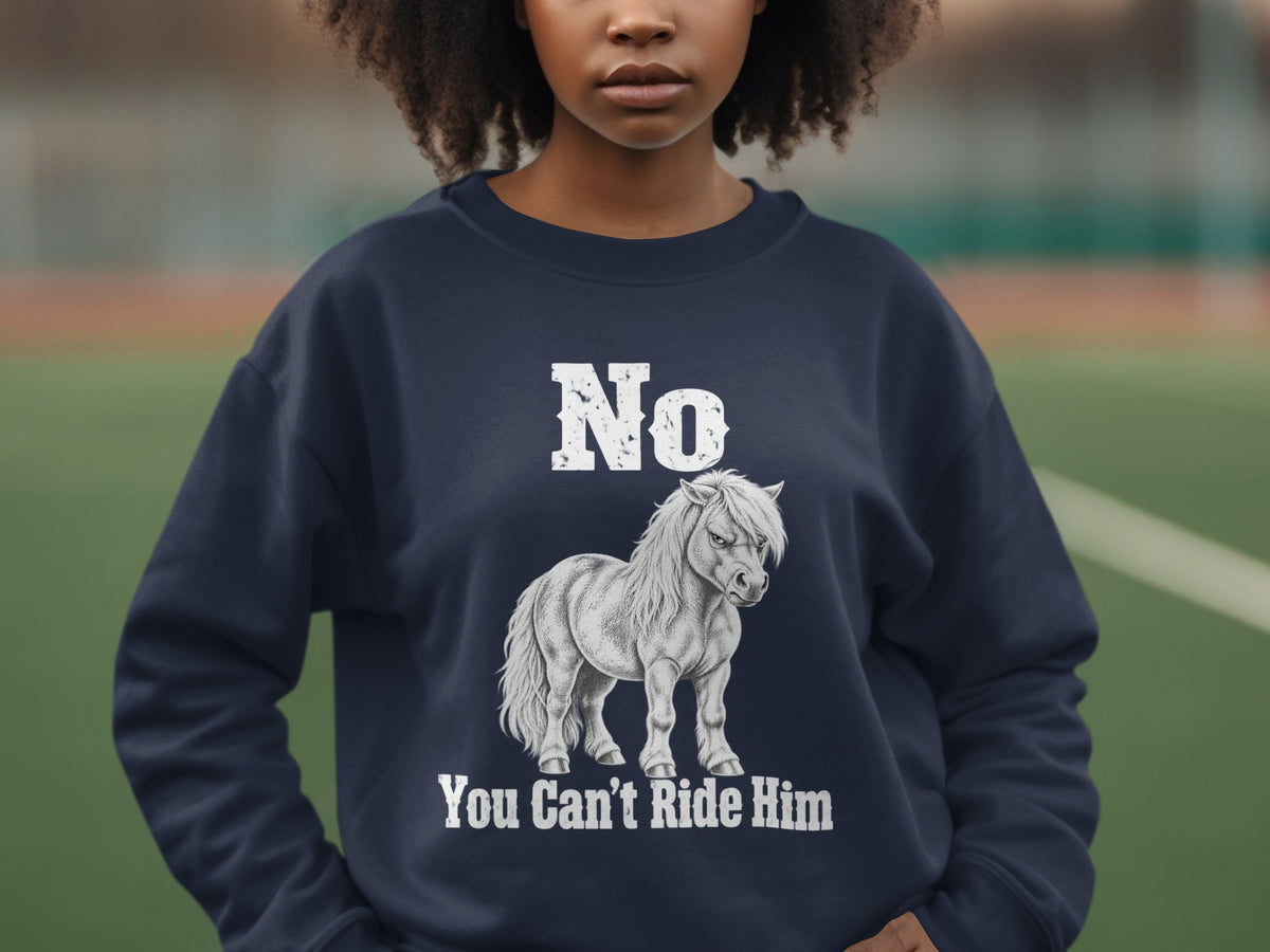 A person wears a dark blue sweatshirt featuring a graphic of a grumpy pony and text that reads No You Can't Ride Him.
