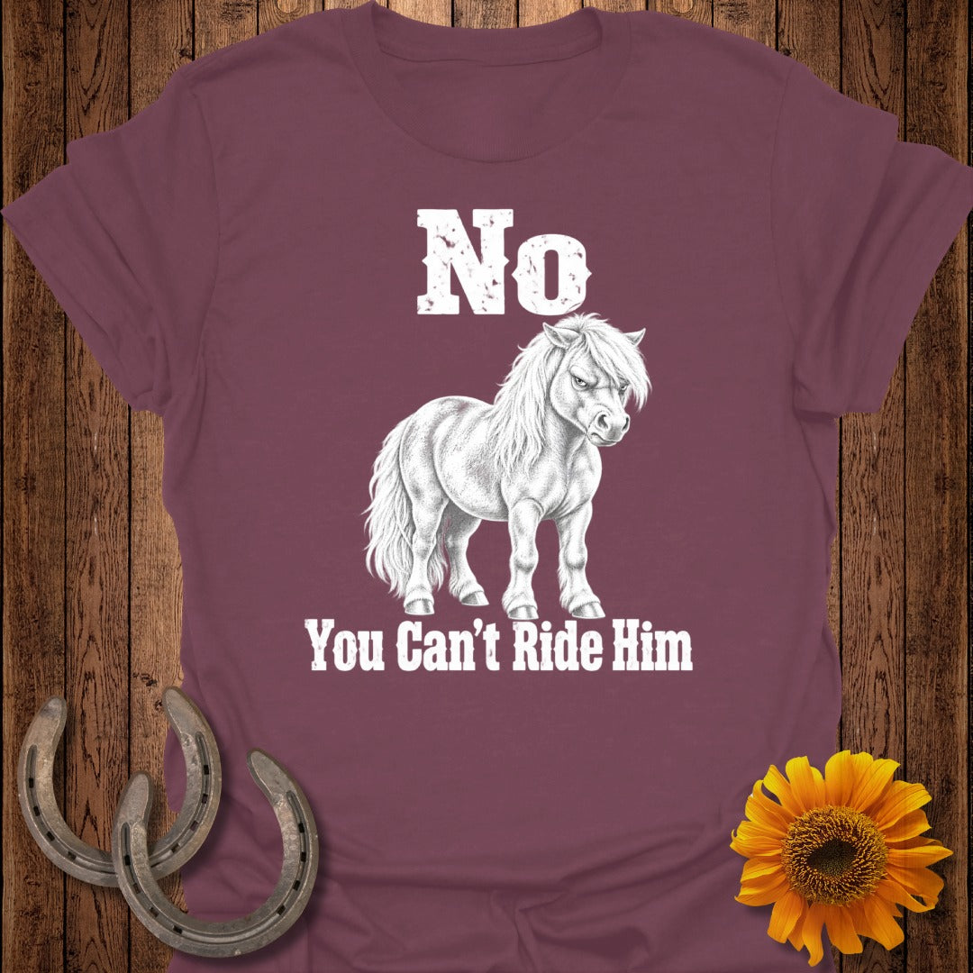 Maroon t-shirt with "No" and a drawing of a pony, "You Can't Ride Him".