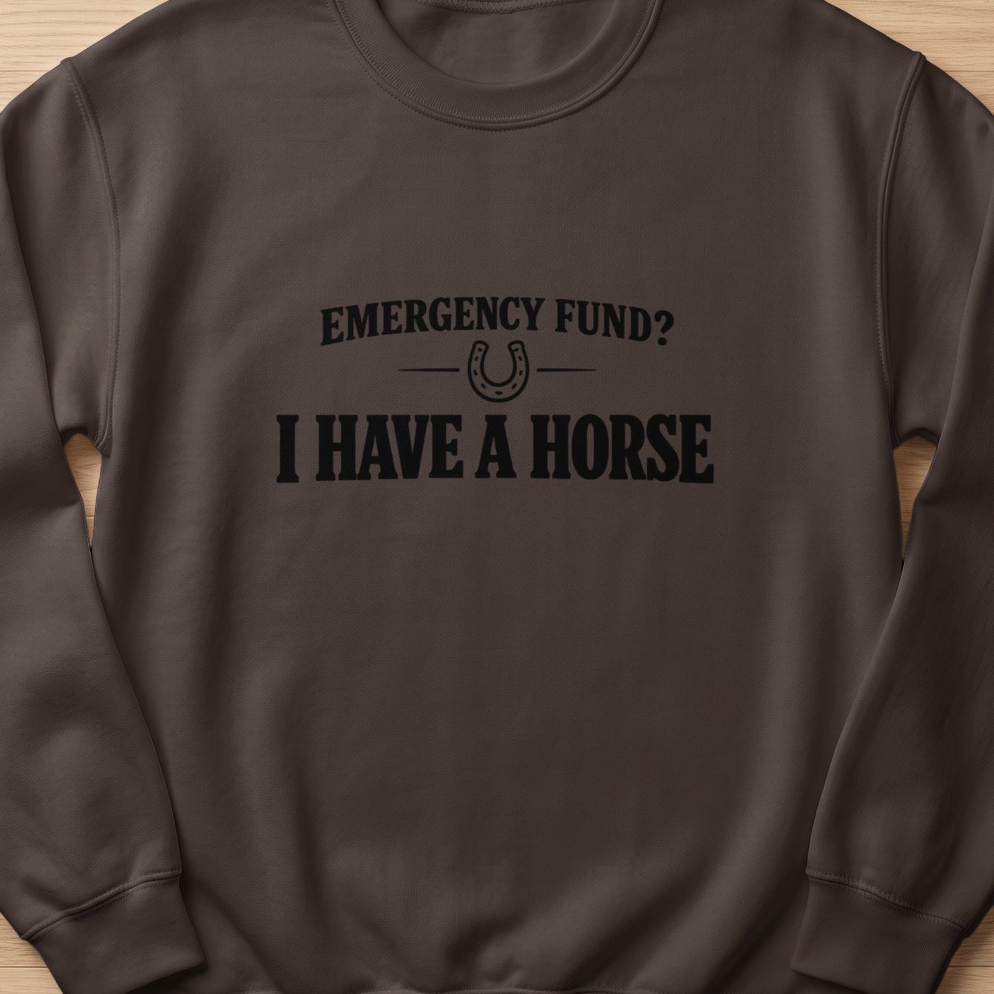 Brown sweatshirt with "EMERGENCY FUND? I HAVE A HORSE" text and horseshoe graphic.
