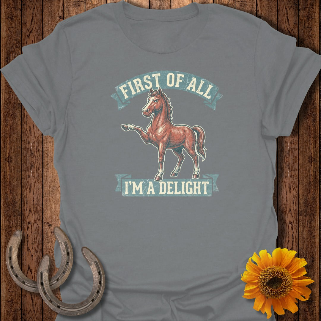 Grey t-shirt with a horse illustration and text "FIRST OF ALL I'M A DELIGHT".