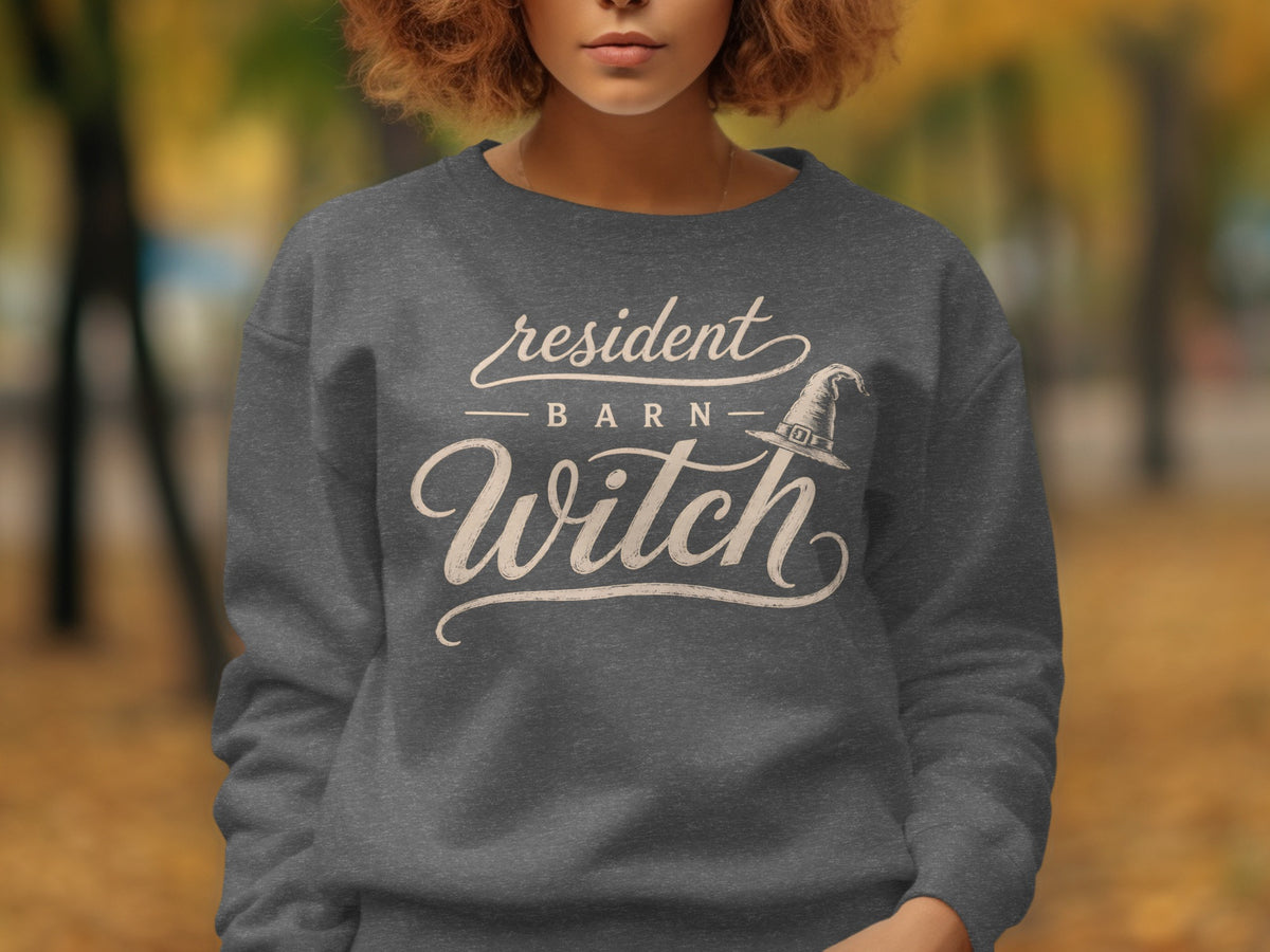Dark gray sweatshirt with "resident barn witch" text and witch hat graphic.