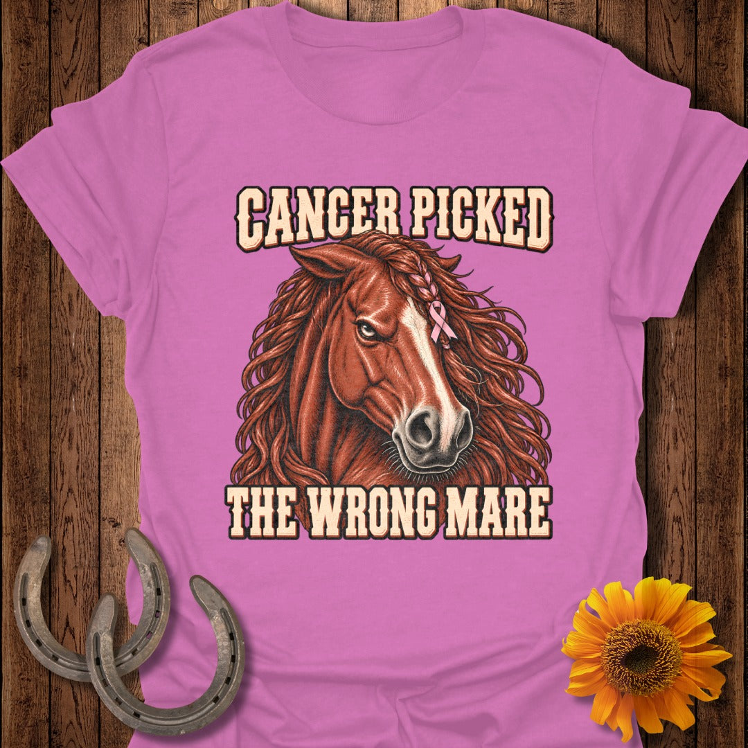 Pink t-shirt with a horse and text: Cancer picked the wrong mare.