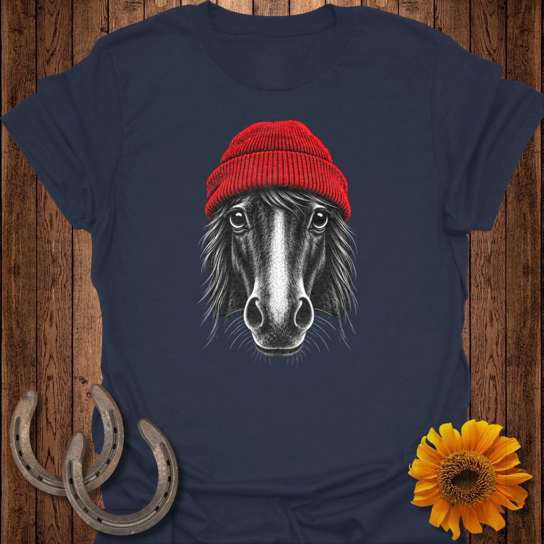 Black horse with a red beanie and white stripe on face.