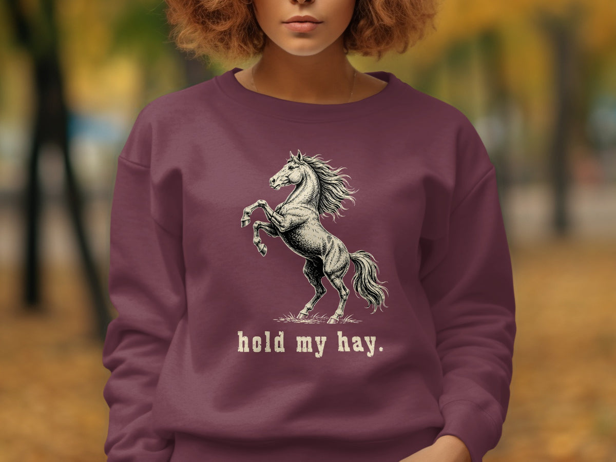 Maroon sweatshirt with a rearing horse graphic and "hold my hay." text.