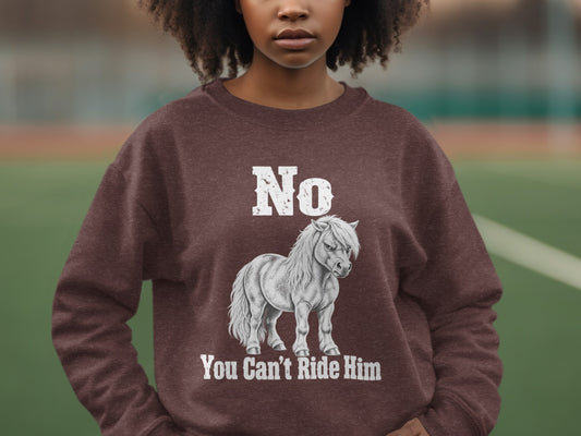 A person wearing a brown crewneck sweatshirt featuring a graphic of a pony and the text No You Can't Ride Him.