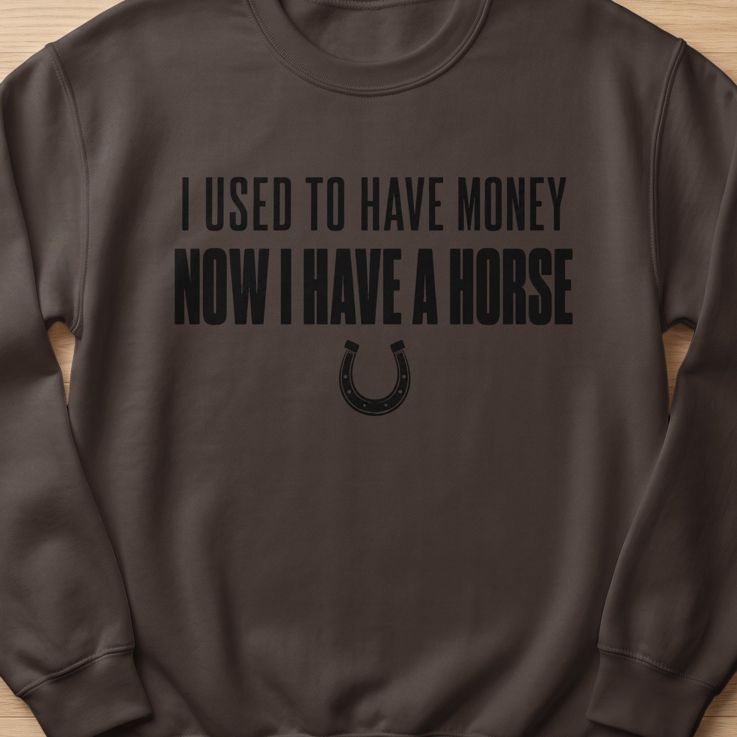 Dark brown sweatshirt with black text: "I USED TO HAVE MONEY NOW I HAVE A HORSE" and horseshoe.