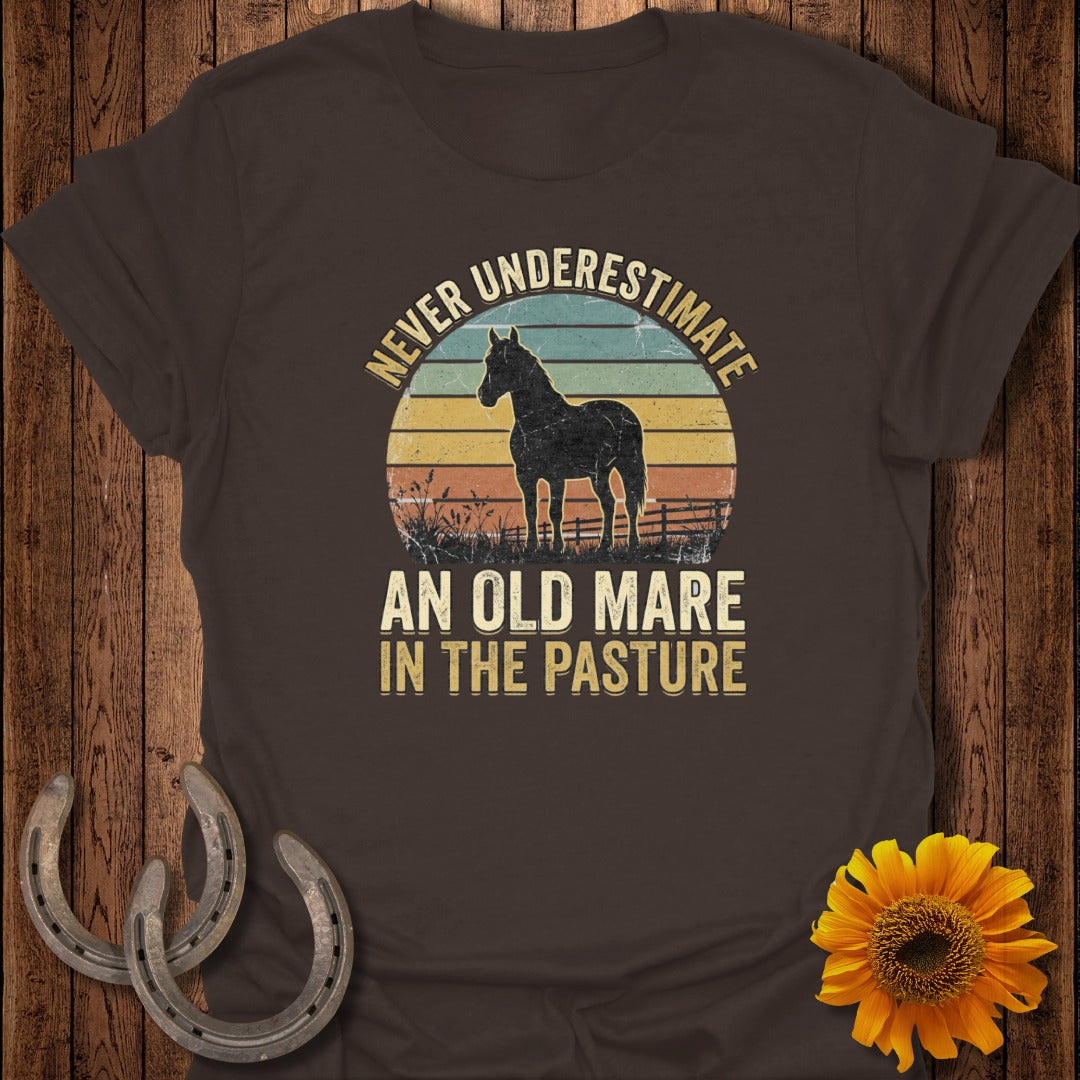 Brown t-shirt with "Never Underestimate An Old Mare In The Pasture" text and horse silhouette.
