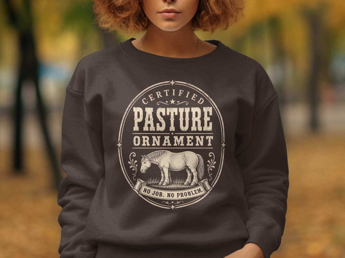 Dark grey sweatshirt with a vintage oval graphic featuring a horse and text.
